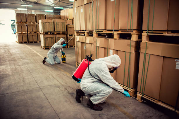Best Commercial Pest Control Services  in Camp Wood, TX