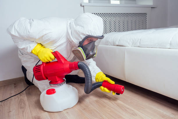 Best Flea Control Services  in Camp Wood, TX
