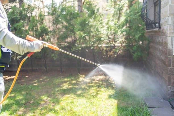 Best Pest Control Cost  in Camp Wood, TX