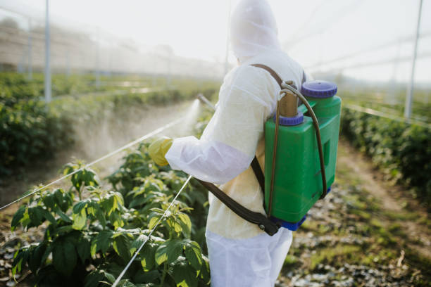 Best Best Pest Control Companies  in Camp Wood, TX